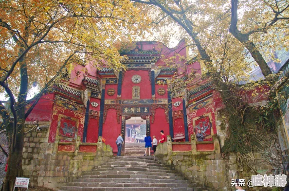 如何选购三角洲行动系列重型登山背包，专业指南解析