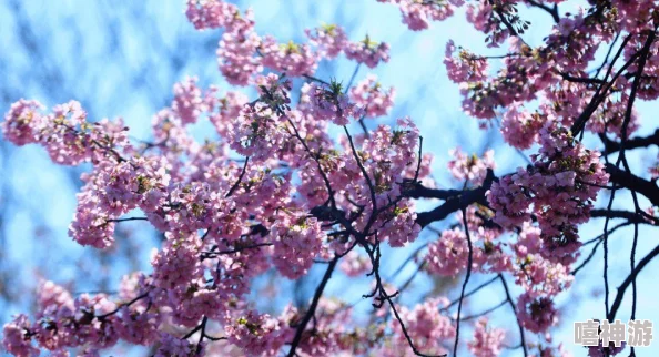 探索云游戏官网入口指南：分享畅玩云游戏的最佳网站推荐