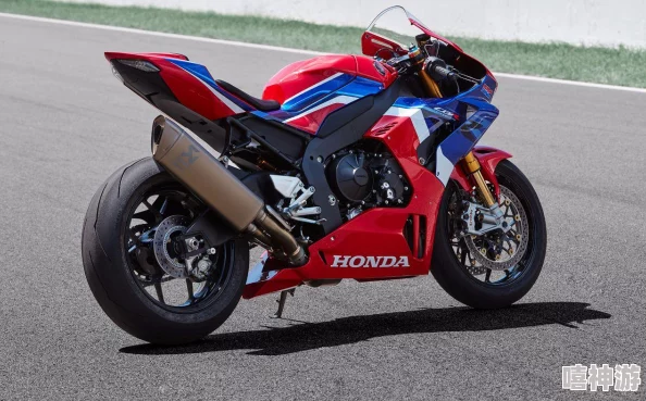 2024热门多人联机摩托车游戏精选：高人气手游合集推荐