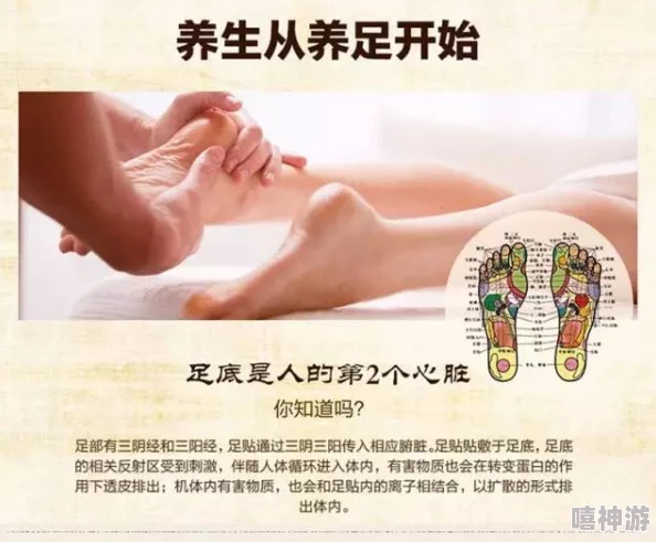 老徐帮小雅排毒，助她重拾健康与活力，开启全新生活方式的旅程