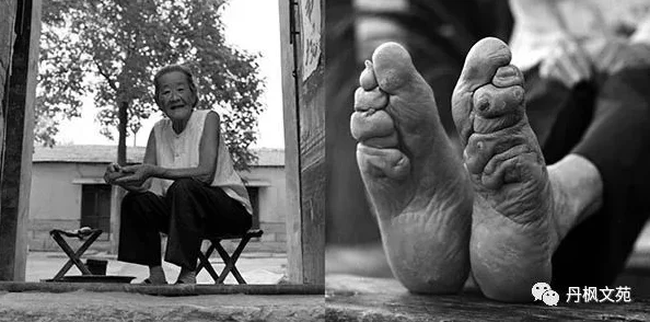 老女人裸体婬交：揭示社会对年龄与性欲的偏见，挑战传统观念，引发热议与思考