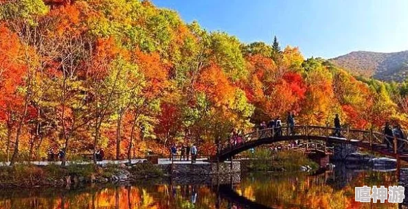 日本xxxxxx：这里的美景和文化让人心旷神怡，令人流连忘返