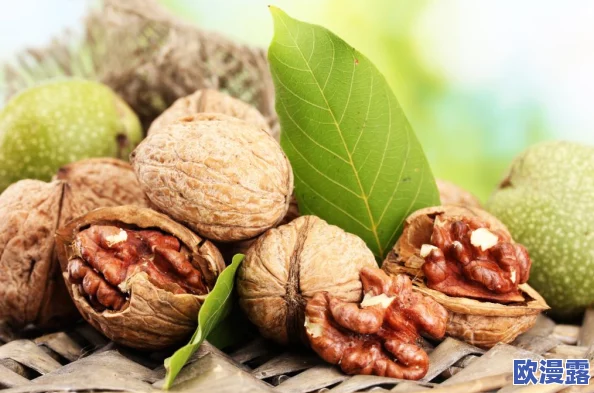 胡桃座旅行者吃胡萝卜,分享独特的美食体验与旅途中的趣事,引发网友热议和关注 胡桃座旅行者吃胡萝卜,分享独特的美食体验与旅途中的趣事,引发网友热议和关注