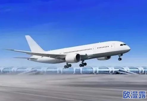 中国东方18_XXXXXL56edu:探讨中国东方航空的发展历程及其在国际航空市场的竞争策略与创新成就 中国东方18_XXXXXL56edu:探讨中国东方航空的发展历程及其在国际航空市场的竞争策略与创新成就