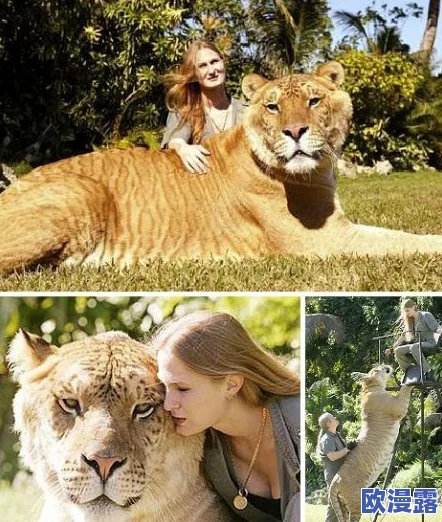 欧美人与禽交:探讨西方文化中关于人类与动物关系的争议及其对社会伦理的影响 欧美人与禽交:探讨西方文化中关于人类与动物关系的争议及其对社会伦理的影响