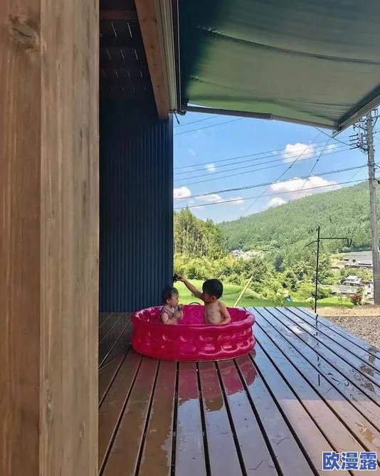 日本服务器免费ip地址浏览器：提供用户访问日本地区网站的免费IP地址，帮助实现更快的网络连接和更好的在线体验