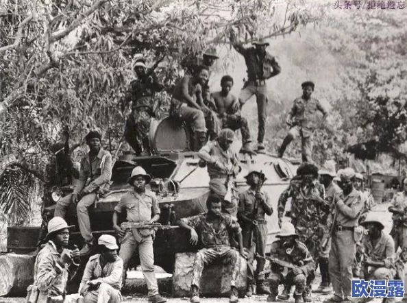 越南战争三片第：震惊！新发现揭示隐藏数十年的秘密，改变我们对历史的认知！