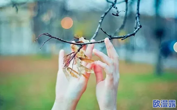 梦境食旅兑换码全解析：最新大全及获取方法详解