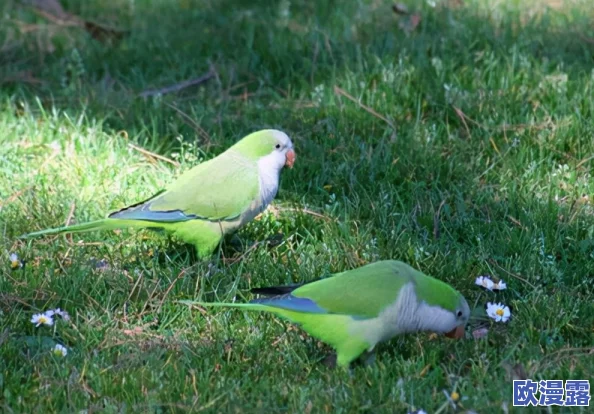 震惊！h杯奶水太多h，竟然引发了全网热议，网友们纷纷表示无法想象这样的情况会发生！
