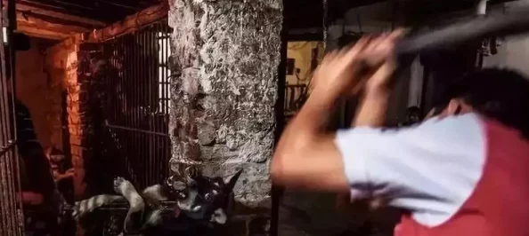 震惊！暗卫被王爷肉到失禁高h，背后隐藏的秘密让人难以置信，真相令人瞠目结舌！