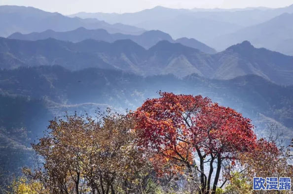 《心动小镇》初期游戏体验分享:新手玩家如何踏上成长与探索之旅 《心动小镇》初期游戏体验分享:新手玩家如何踏上成长与探索之旅