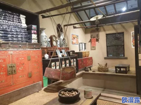 东北大炕虎子：讲述了东北地区独特的民俗文化和人们在大炕上生活、交流的温暖故事与情感纽带