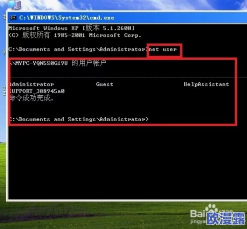 WINDOWS18求求19：如何在新系统中提升工作效率与用户体验的实用技巧分享