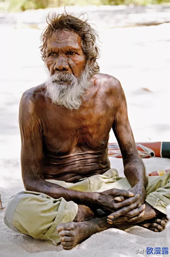 梦幻花园如何操作将人邀请加入部落及个人怎样申请加入部落群指南