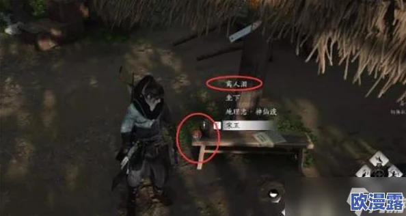 《燕云十六声》深度解析：一叶平生任务全攻略与技巧分享