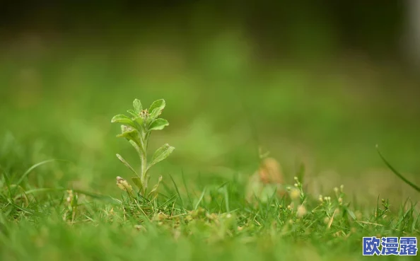 久草精品在线播放"引发热议,网友惊呼:这部作品竟然隐藏了如此深刻的社会寓意! 久草精品在线播放"引发热议,网友惊呼:这部作品竟然隐藏了如此深刻的社会寓意!