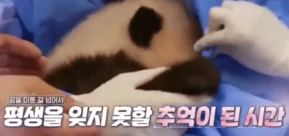 边亲边揉边摸下面好爽视频在生活中我们要关注健康与快乐的方式让每一天都充满积极向上的能量和美好体验