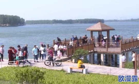 张怕芝的毛又多又密展现了她健康活力的一面，正是这种生机勃勃的状态让我们感受到生活的美好与积极向上的力量