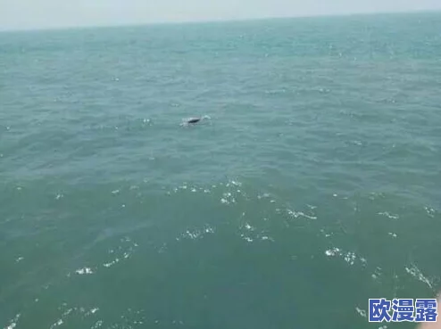 全面解析精灵梦世界：精灵中心功能玩法及特色详细说明指南